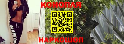 молекула духа Апрелевка