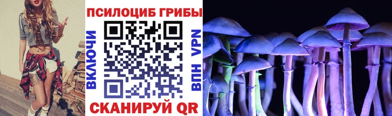 дарнет шоп  Барнаул  KRAKEN ССЫЛКА  Псилоцибиновые грибы GOLDEN TEACHER 